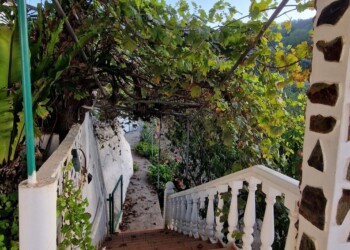 The stairs to the guest room